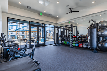 High-tech fitness center with full circuit equipment
